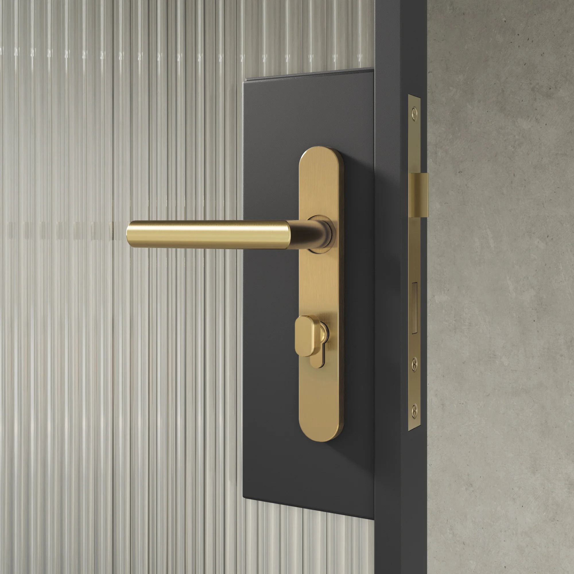Entry Pulls Davis Entry Door Handle CLOSE UP Looking OUT BB Key-Lock