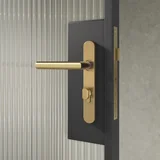 Entry Pulls Davis Entry Door Handle CLOSE UP Looking OUT BB Key-Lock