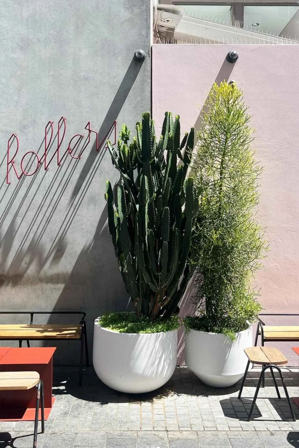 Aesthetic Cafes in SydneyPalm Springs Bakehouse