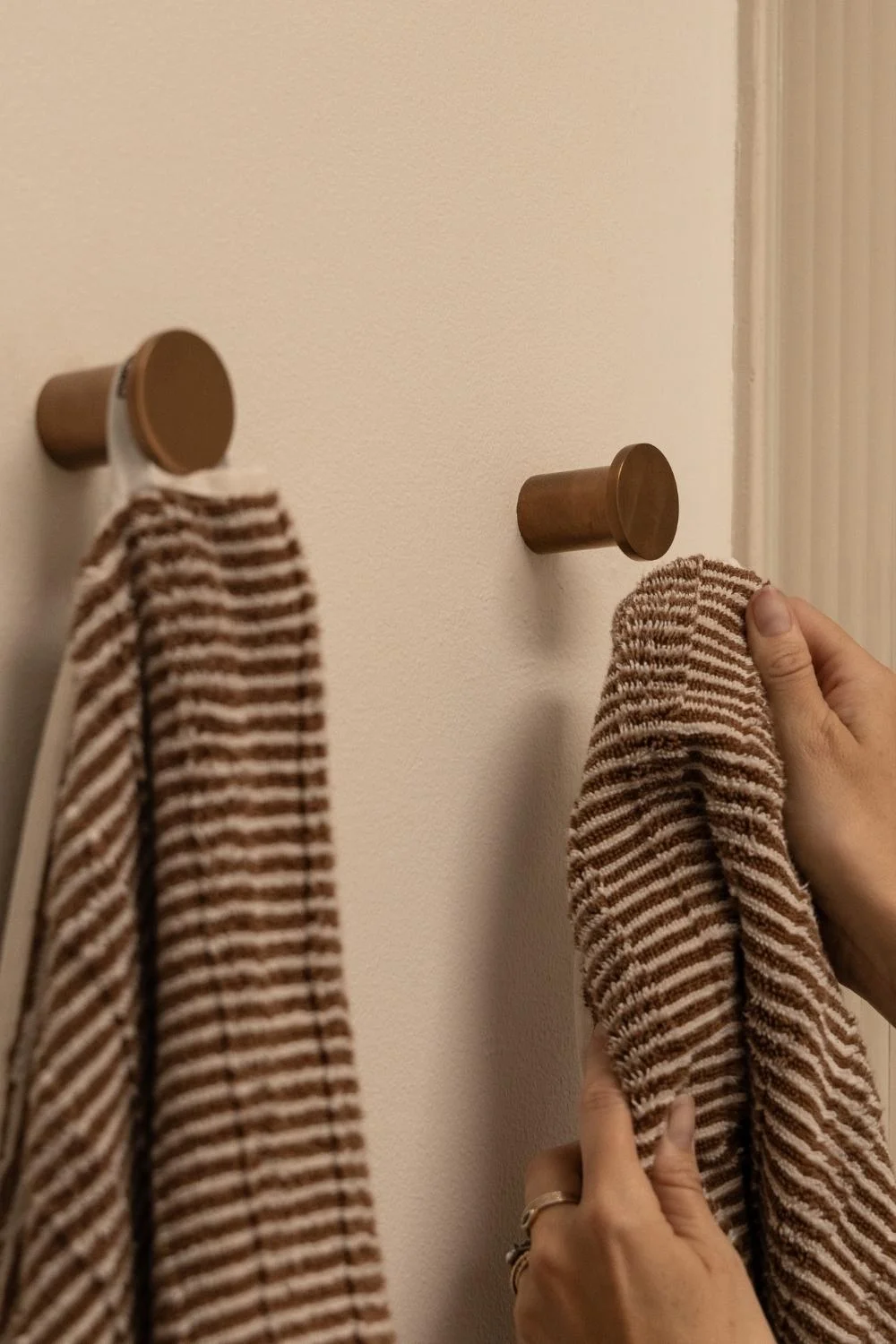 Lily Papas Apartment Renovation Robe Hooks