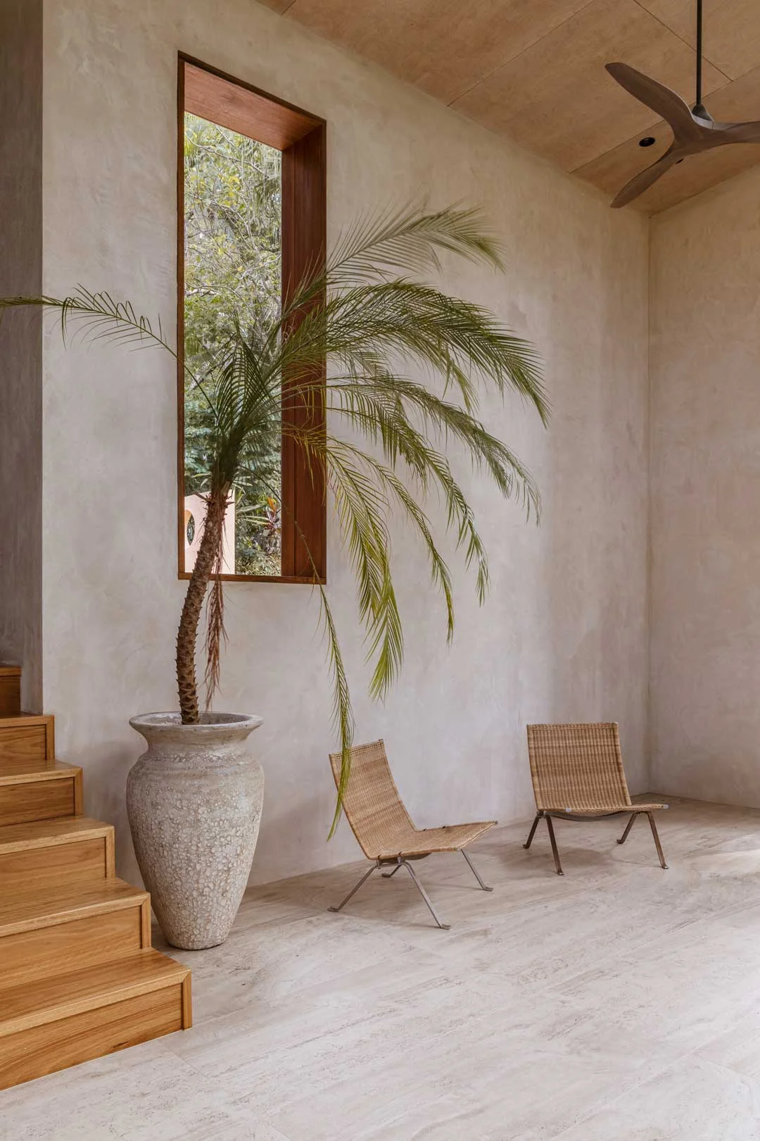 Billi-Palms-HR-16