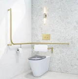 Aliro%20Accesible Pneumatic%20Flush%20Button-Insetting FullShot BB