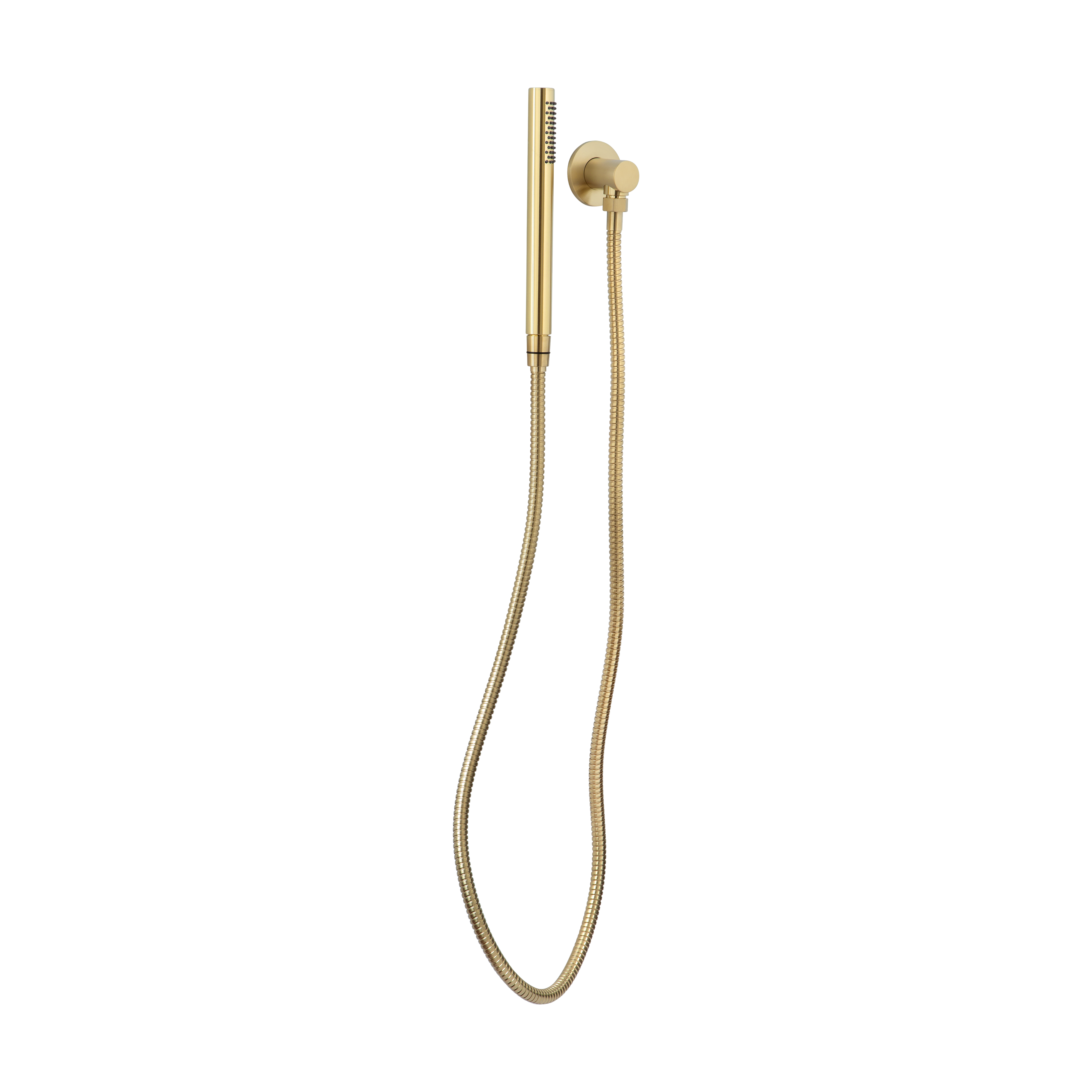 Aliro Round Hand Shower Set - Brushed Brass