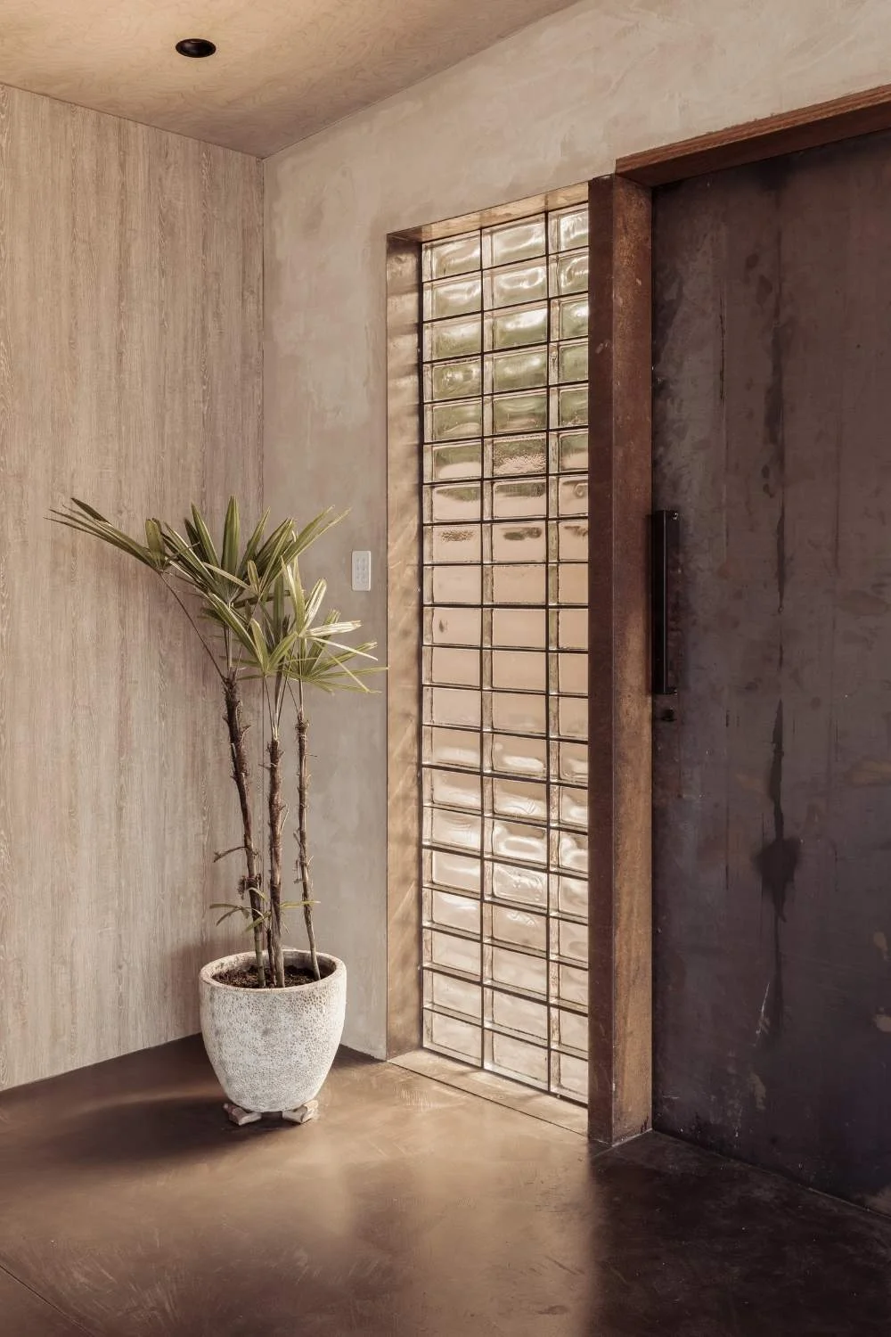 Tile Texture Walls Glass Blocks Plant Front Door