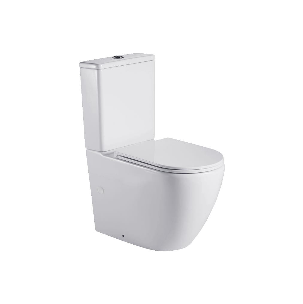 Asher Slimline Back to Wall toilet Suite With Plug
