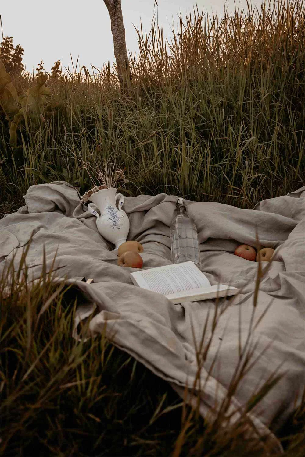 Cottagecore-Garden-Picnic-Field