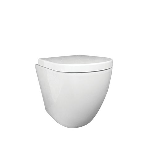 Asher Toilet Suite & In-Wall Cistern