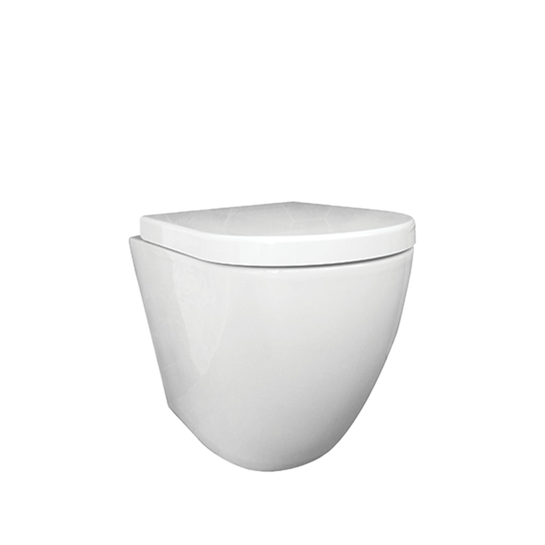 Asher Toilet Suite & In-Wall Cistern