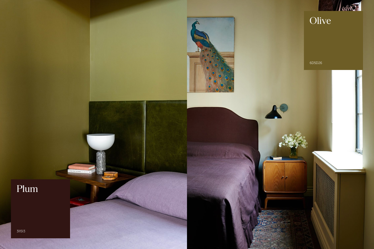 Interior Decoration Colour Combinations Olive Green Plumpng