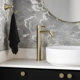 Kingsley Extended Basin Mixer with Celine Basin and Pika Knob V2 BB