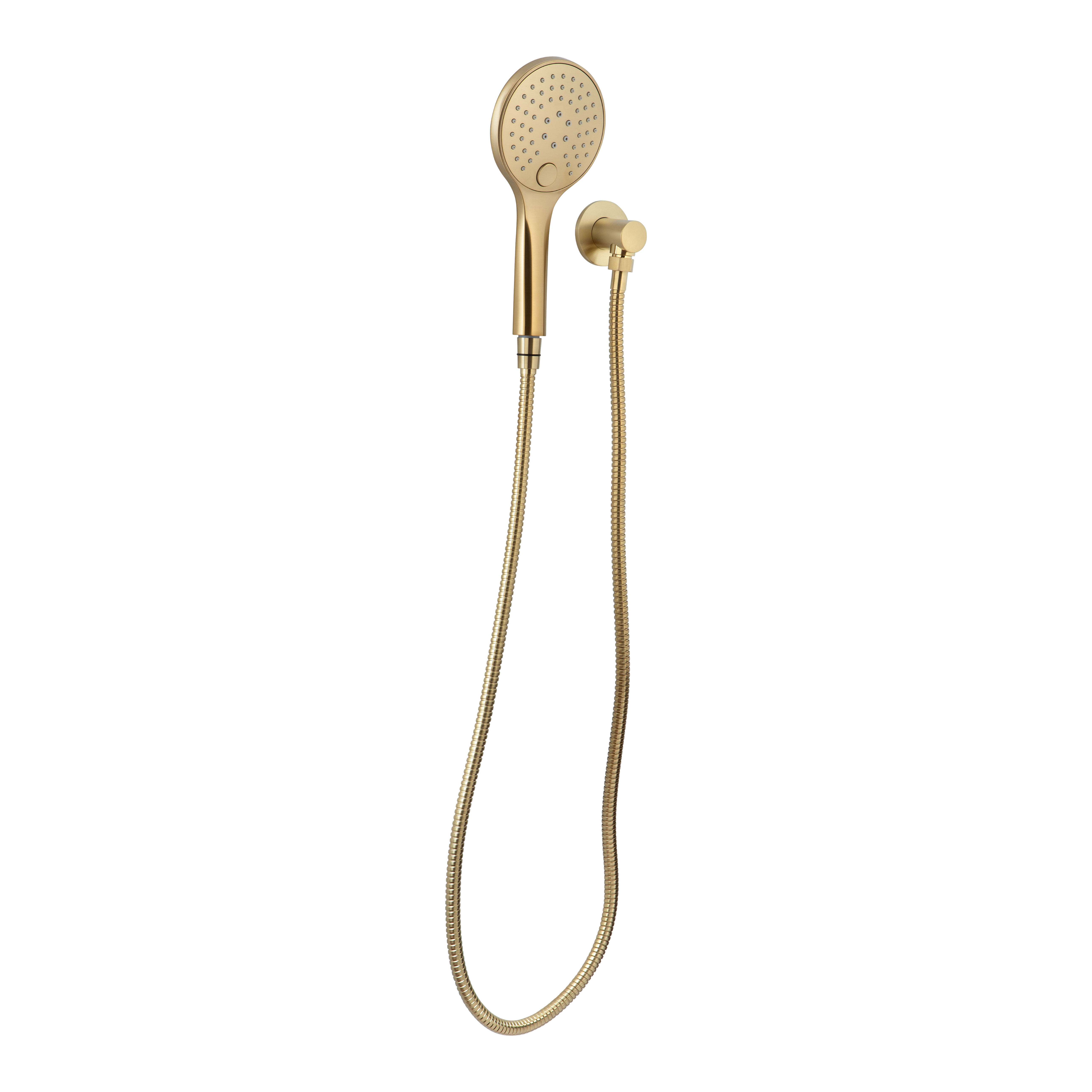 Aliro Accessible 3-Function Hand Shower Set - Brushed Brass