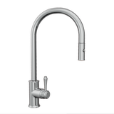 Kingsley Commercial Pull-Out Spray Attachment StockRender Polished Stainless