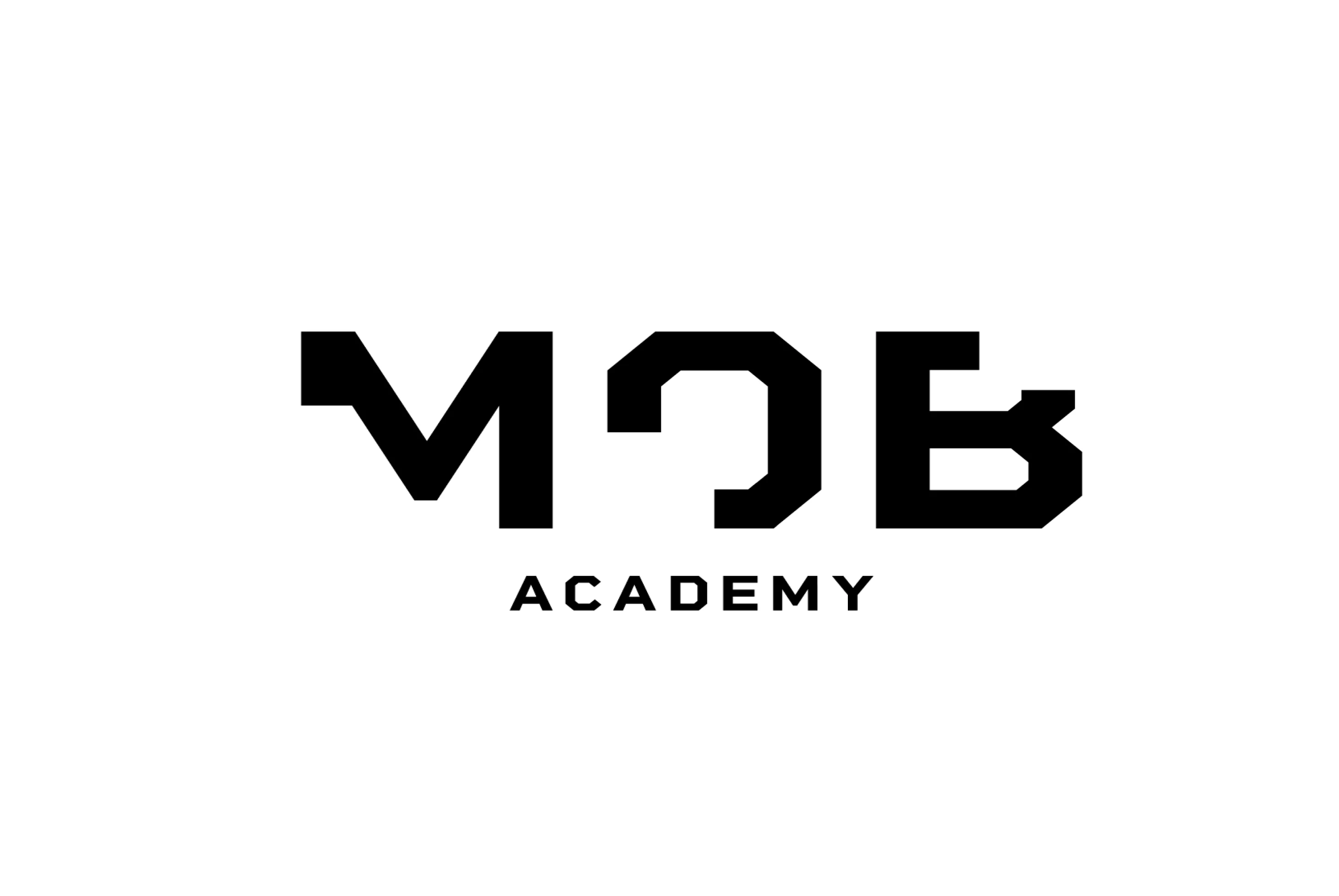 business-practices-mob-academy