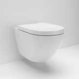 Asher Wall Hung Toilet Pan