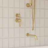 Kingsley thermostatic diverter 2-3 way insetting CloseUp BB