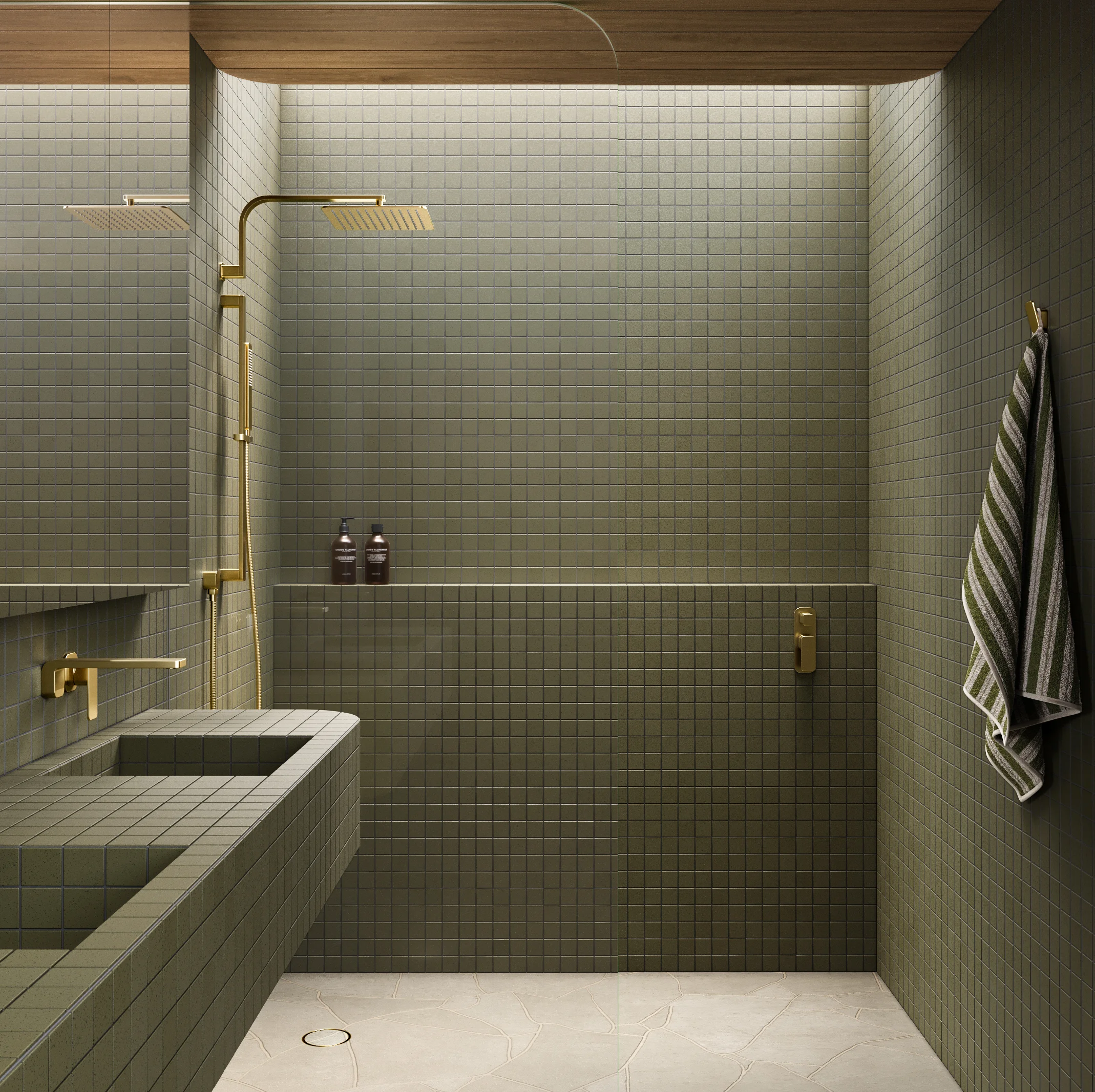 Shower Full%20Shot NESSO Shower%20Arm-Robe%20Hook BB with%20towel