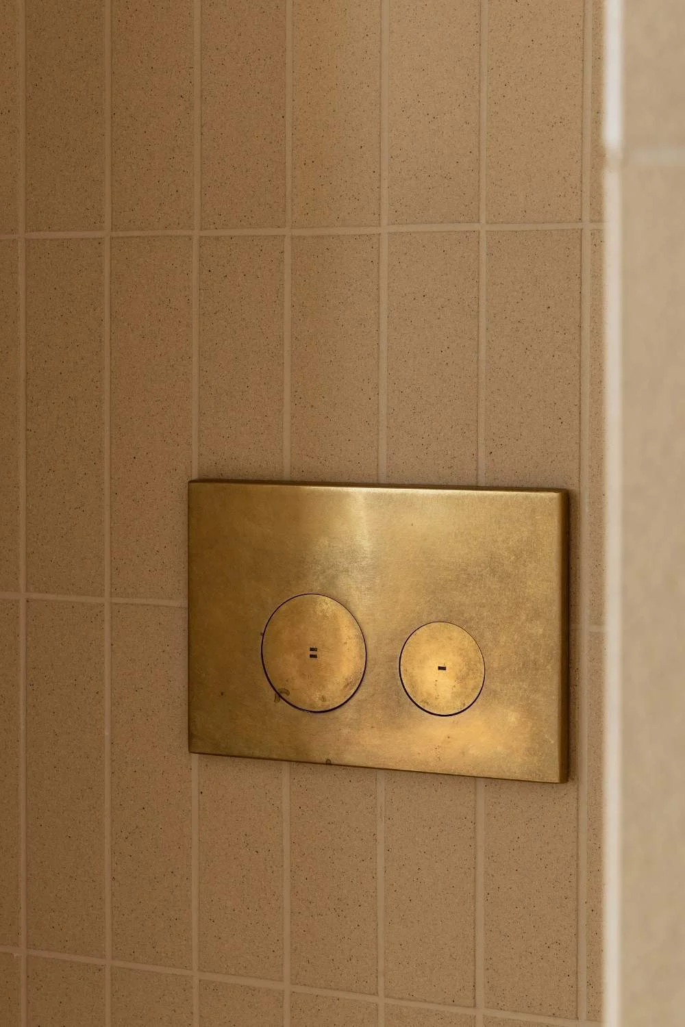 Brass Finishes Zahaa Toilet Flush