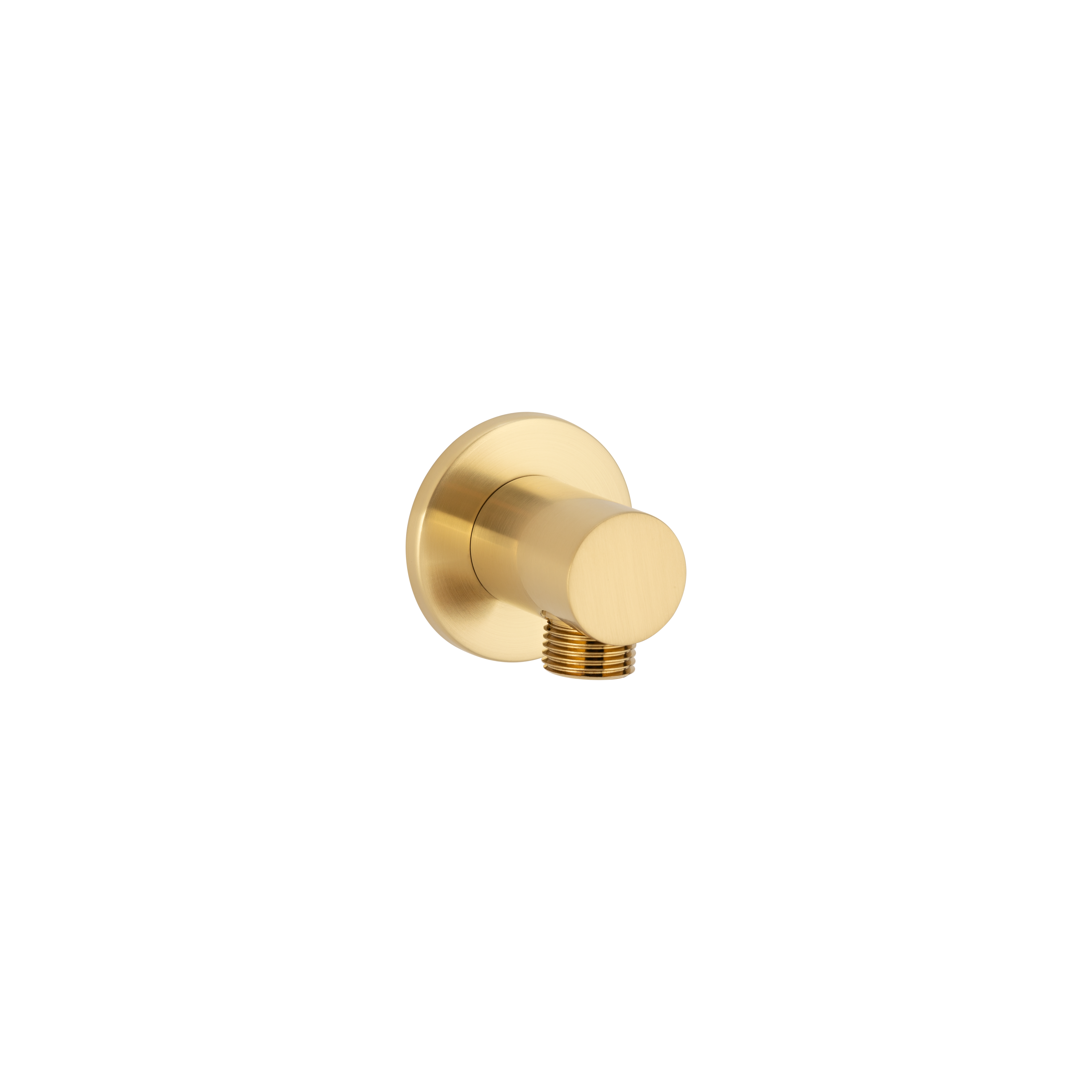 Round Shower BP - Brushed Brass