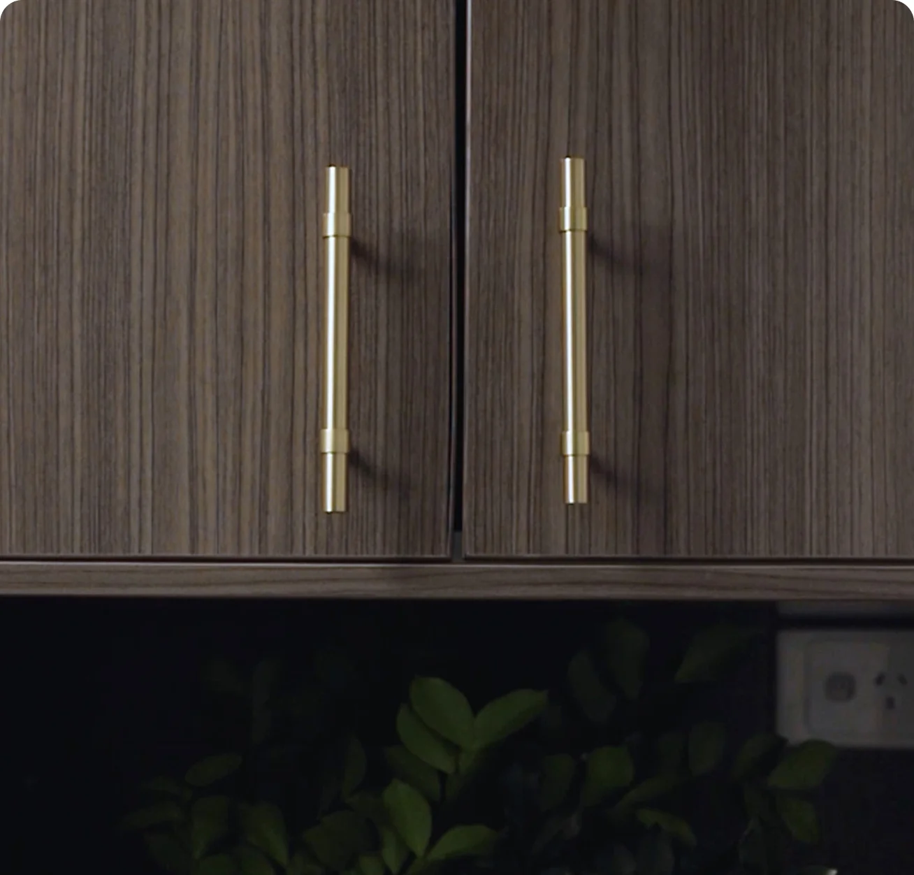 modi-collection-card