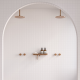Maya Shower 1 BC