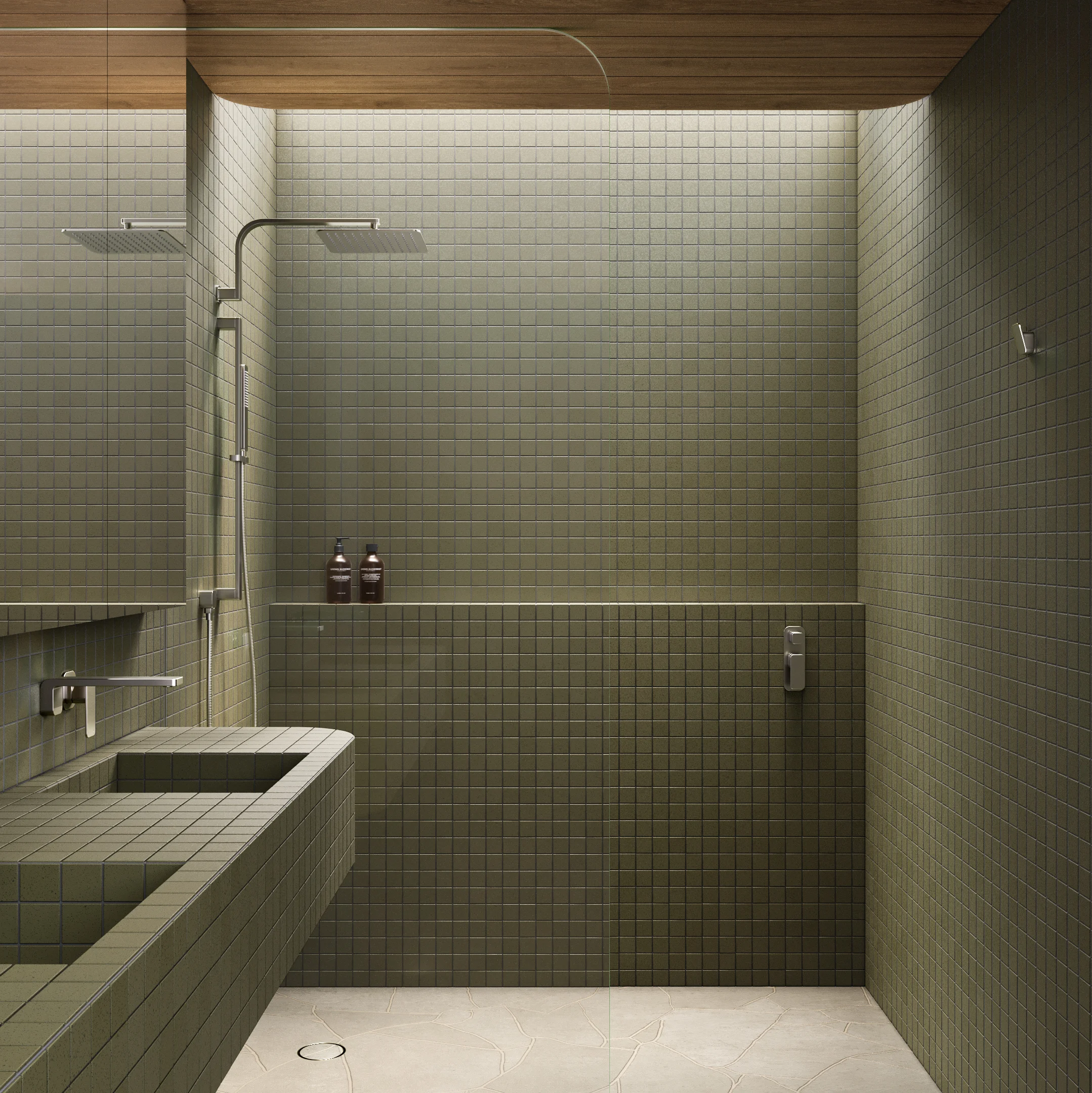 Shower Full Shot NESSO Shower Arm-Robe Hook SS