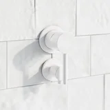 Elysian%20Shower%20Top%20Diverter%20%20%20Bottom%20Diverter V2 GW