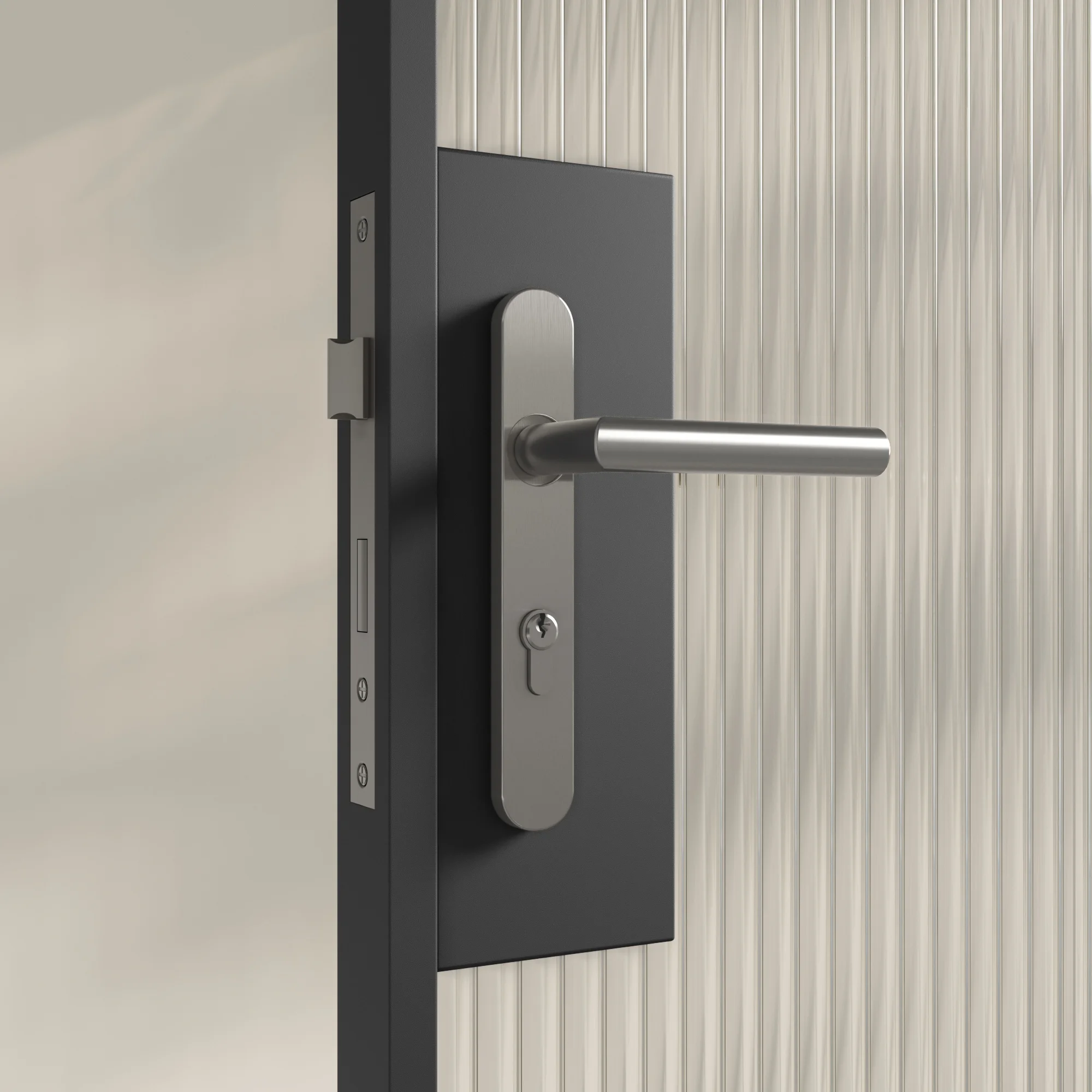Entry Pulls Davis Entry Door Handle CLOSE UP Looking IN SS