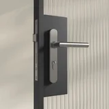 Entry Pulls Davis Entry Door Handle CLOSE UP Looking IN SS