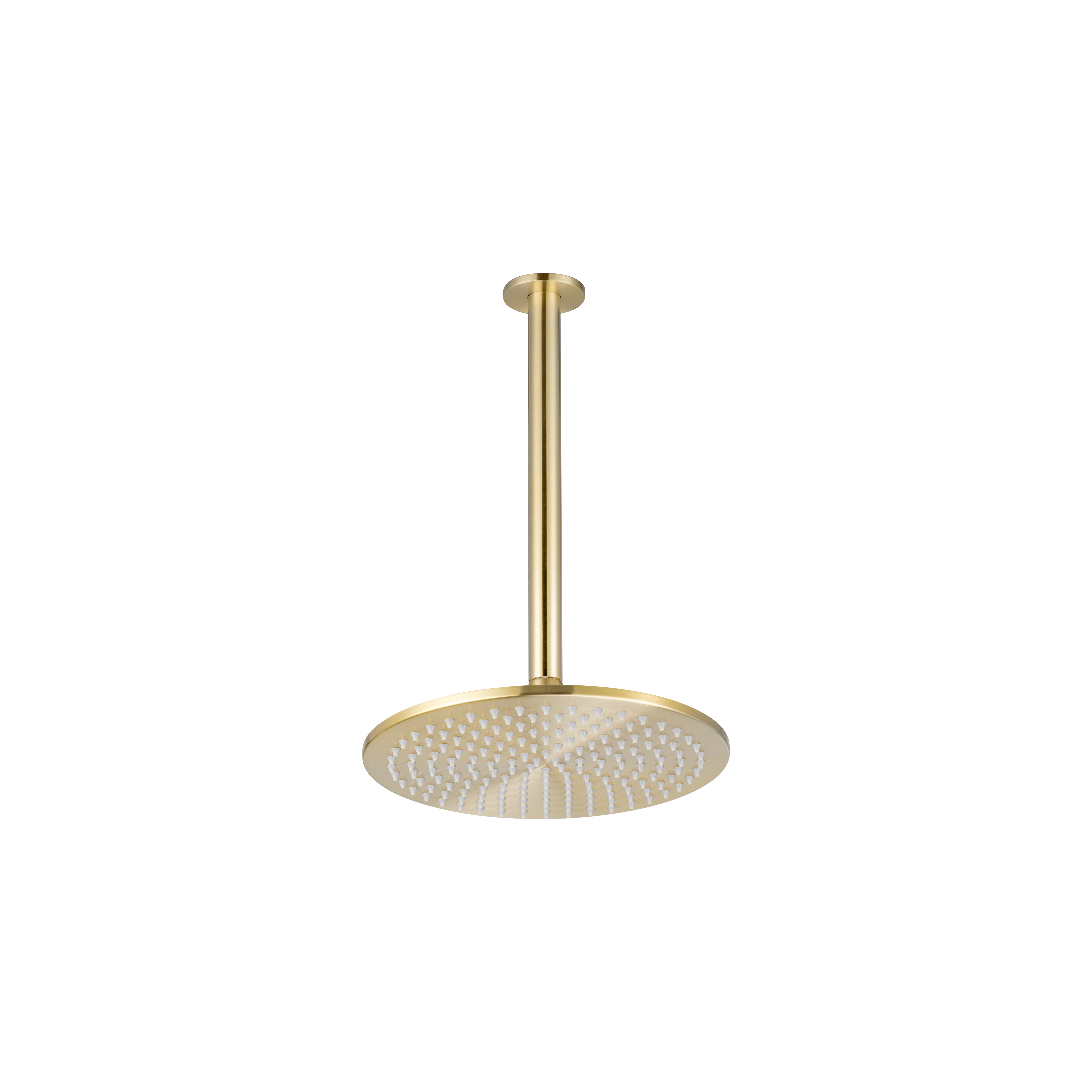 Shower Dropper Round 300mm & Head Set - Brushed Brass