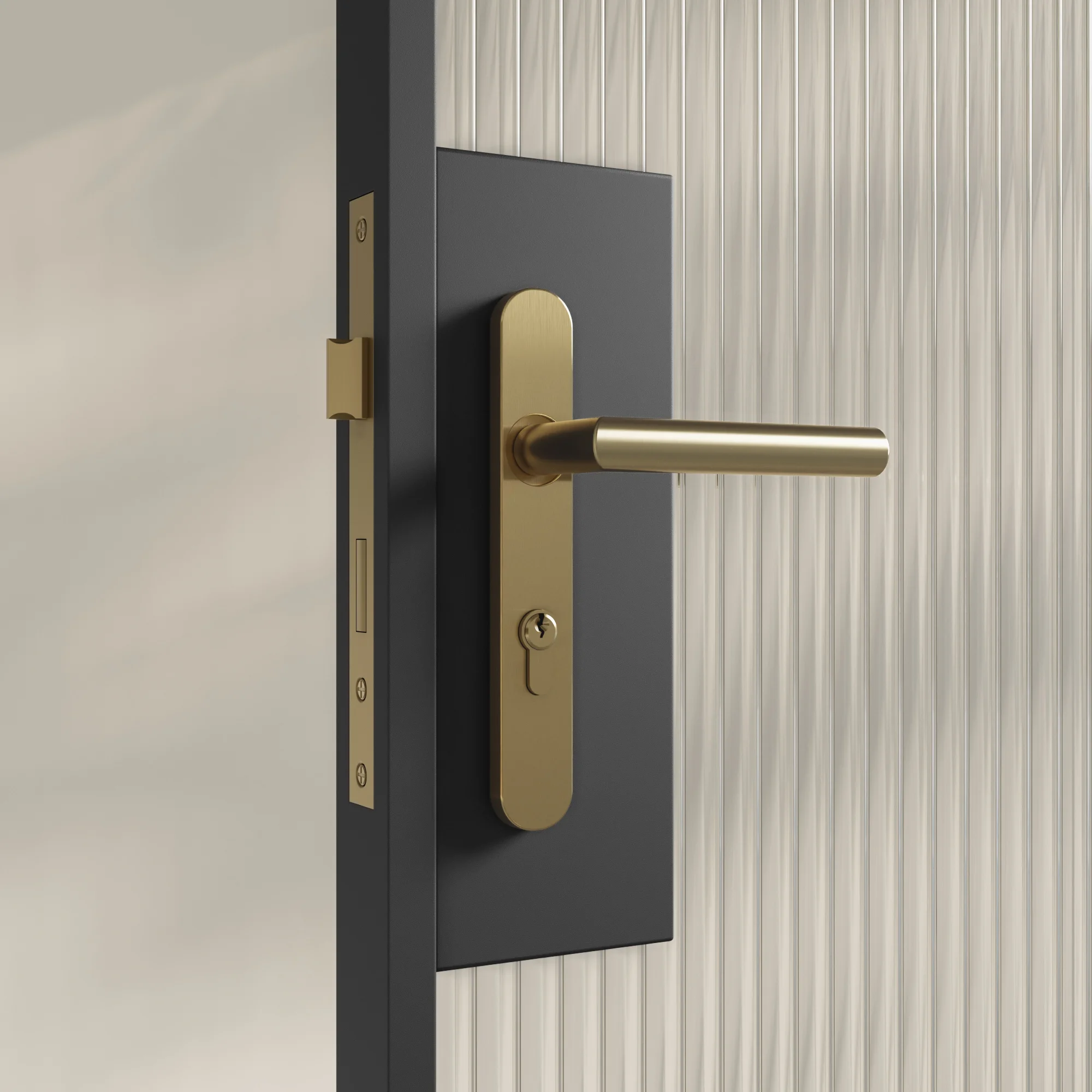 Entry Pulls Davis Entry Door Handle CLOSE UP Looking IN BB