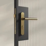 Entry Pulls Davis Entry Door Handle CLOSE UP Looking IN BB