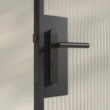 Entry Pulls Davis Entry Door Handle CLOSE UP Looking IN BG