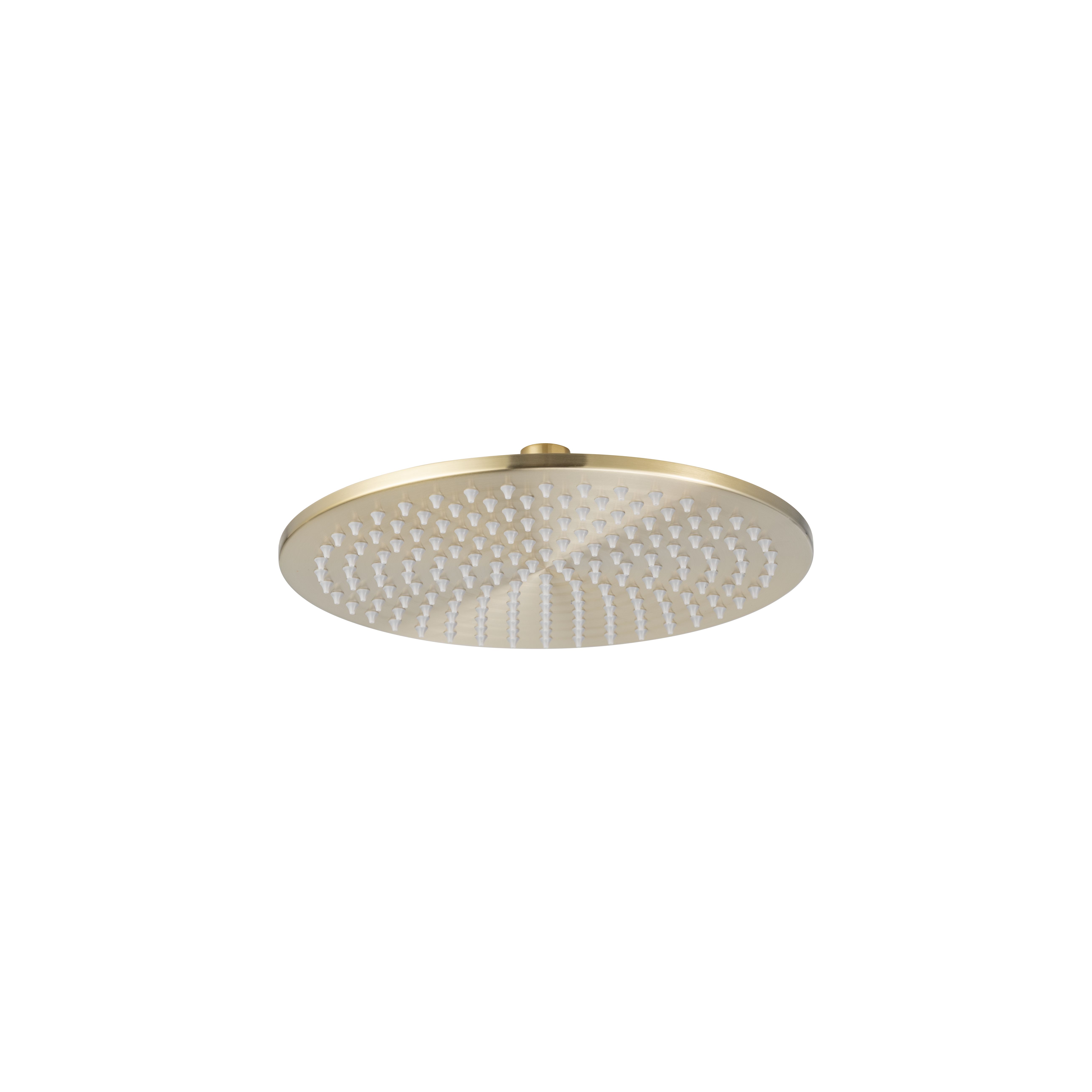 Shower Head Round 250mm - Brushed Brass
