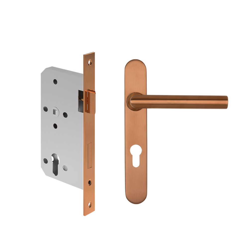 Davis Entry Door Handle   Lock Sets Stock Images BC