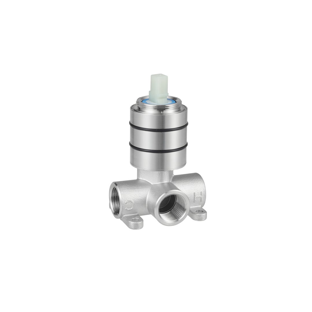 In-Wall Minimal Mixer Body - 304 SS