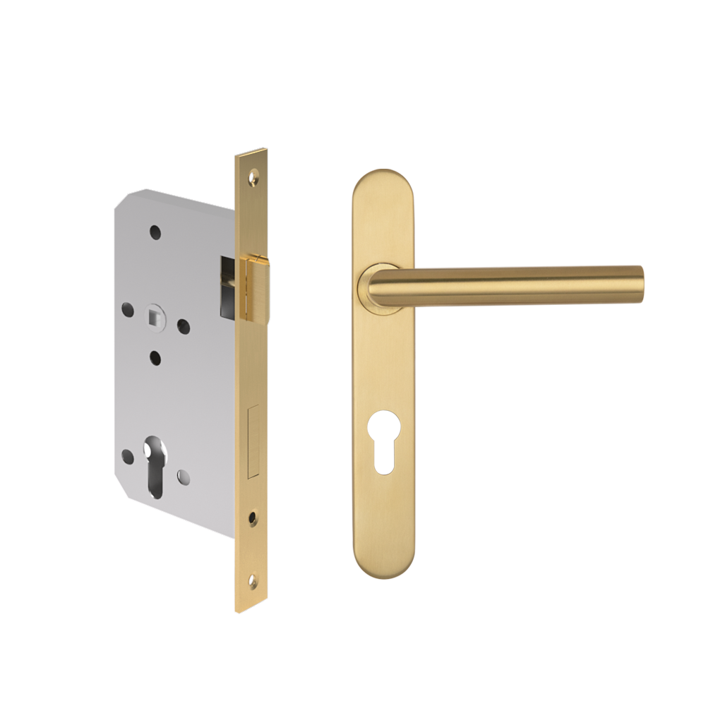 Davis Entry Door Handle   Lock Sets Stock Images BB