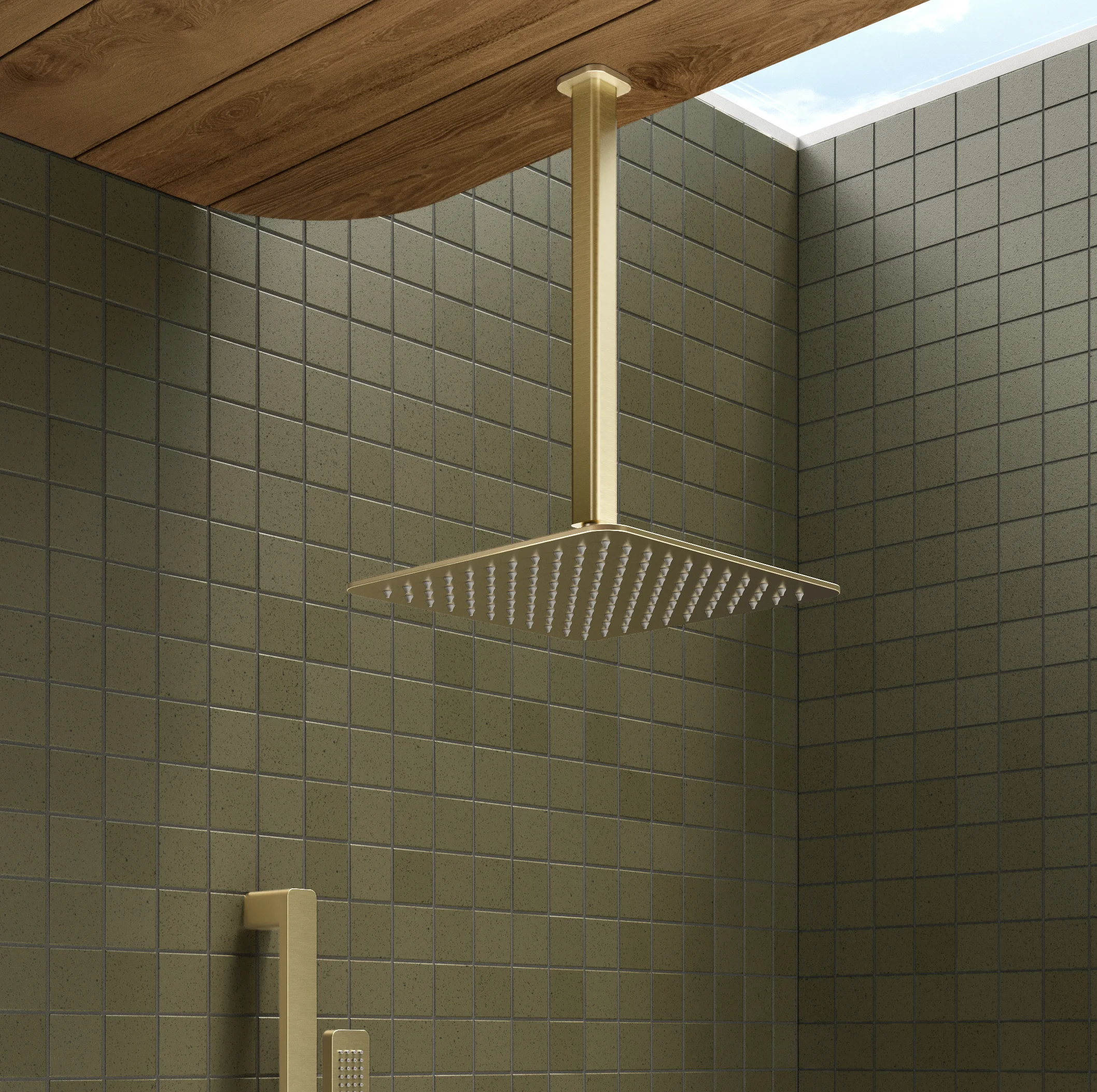 Shower Close%20Up NESSO Shower%20Dropper BB