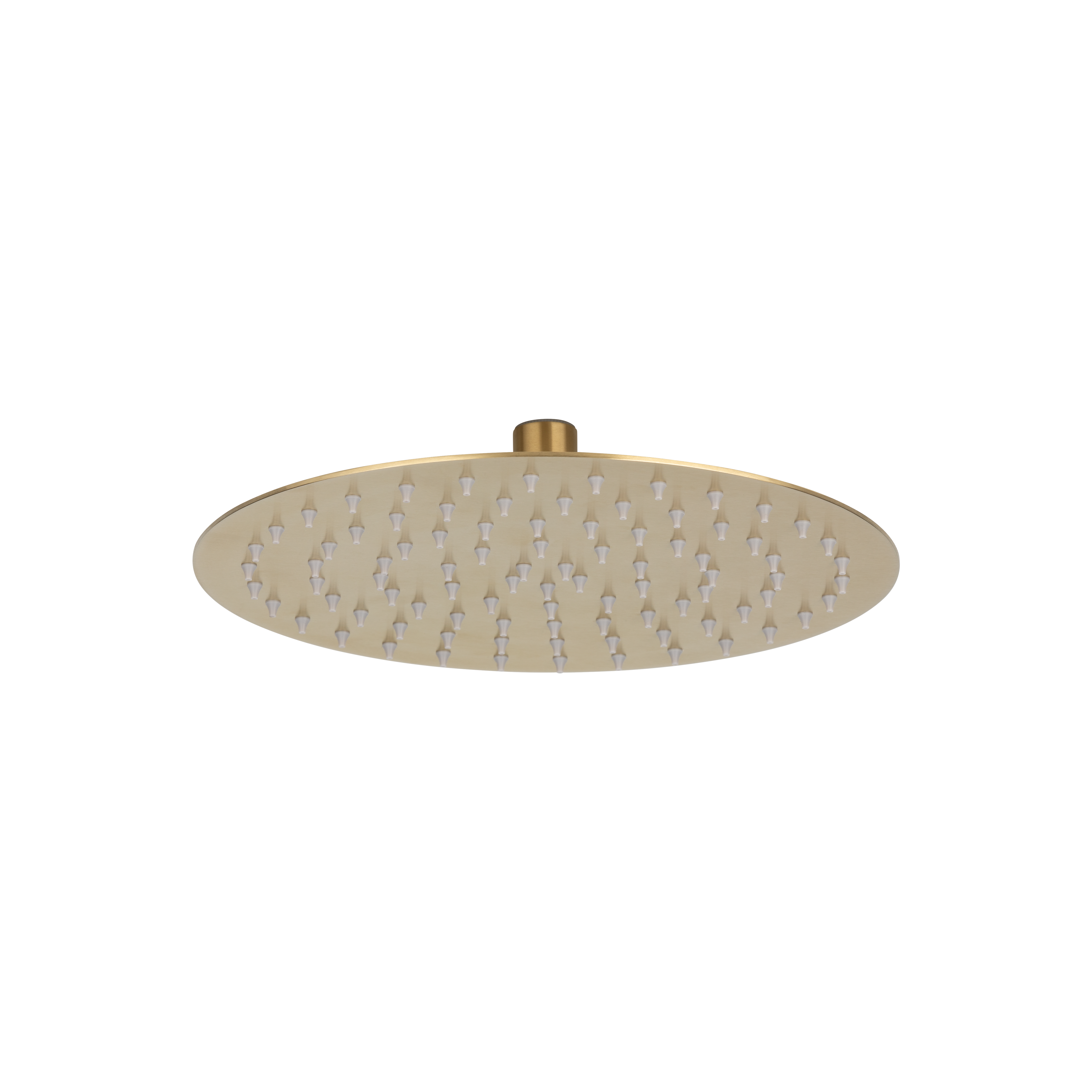 Sola Shower Head - Brushed Brass