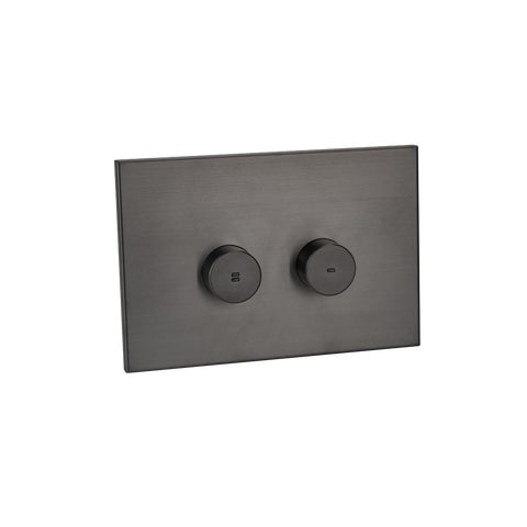 Aliro Accessible Pneumatic Flush Button & In-Wall Cistern - Brushed Gunmetal