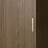 Cabinetry%20Pulls V3 Rappana%20Pull%20Extended%20100mm BB
