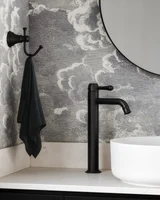 Kingsley Extended Basin Mixer with Celine Basin and Pika Knob V2 MB
