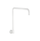 Eden Shower Arm WH 23