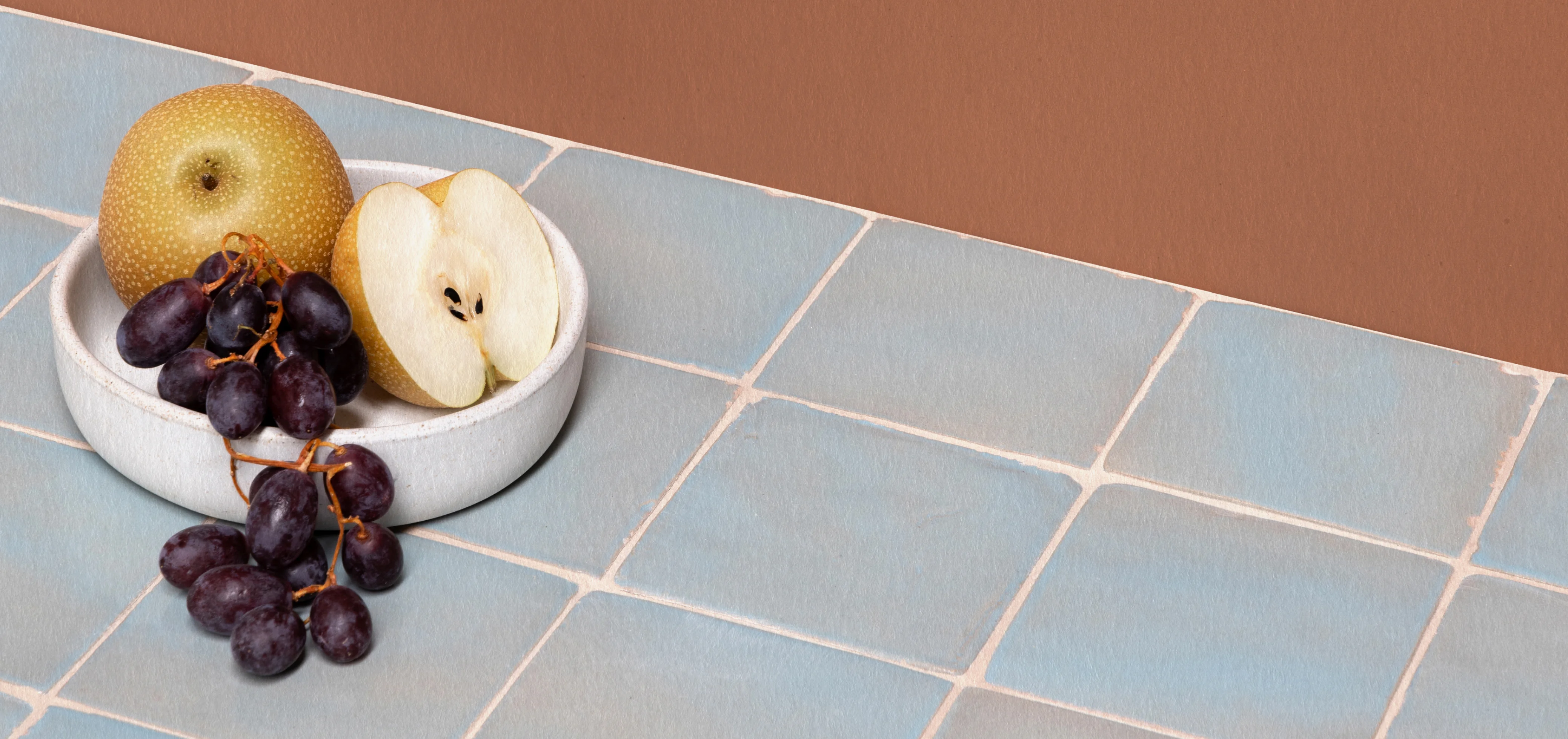 care guide page header