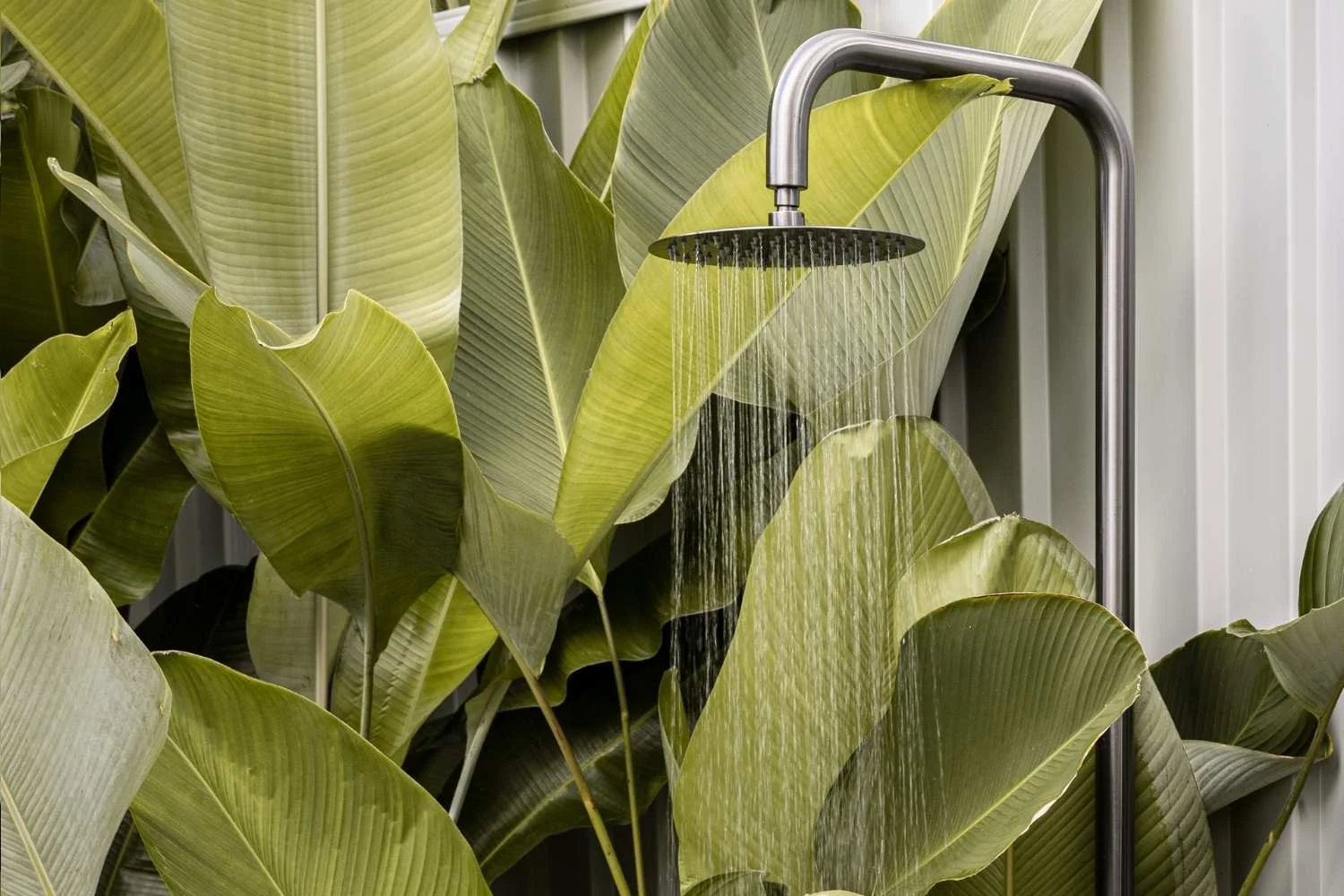 Sustainable Tapware Grotto Plant Outdoor Shower