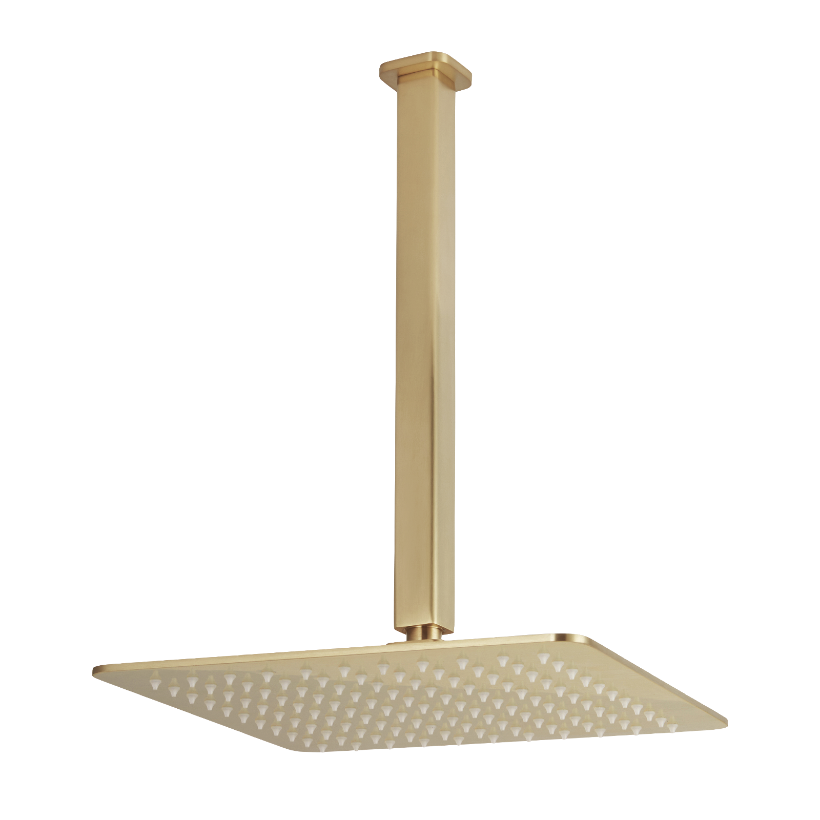 Nesso Shower Dropper & Head Set - Brushed Brass