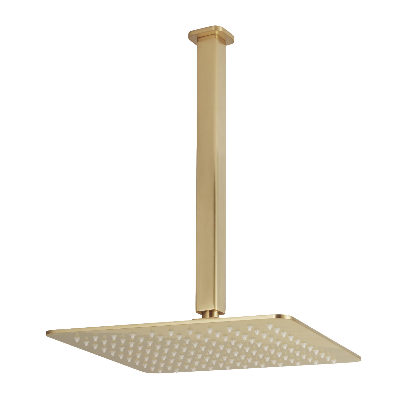 Nesso Shower Dropper %20 Head Brushed Brass