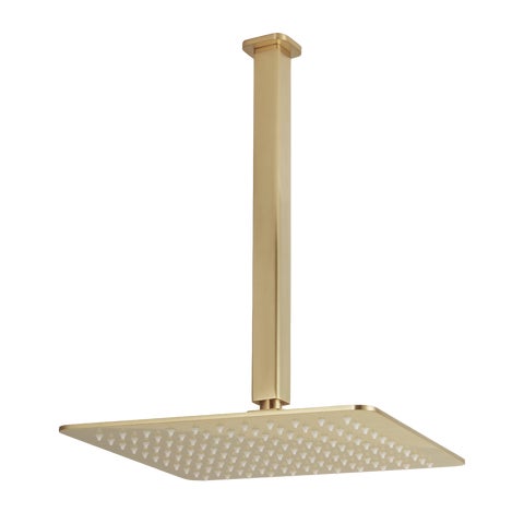 Nesso Shower Dropper & Head Set - Brushed Brass
