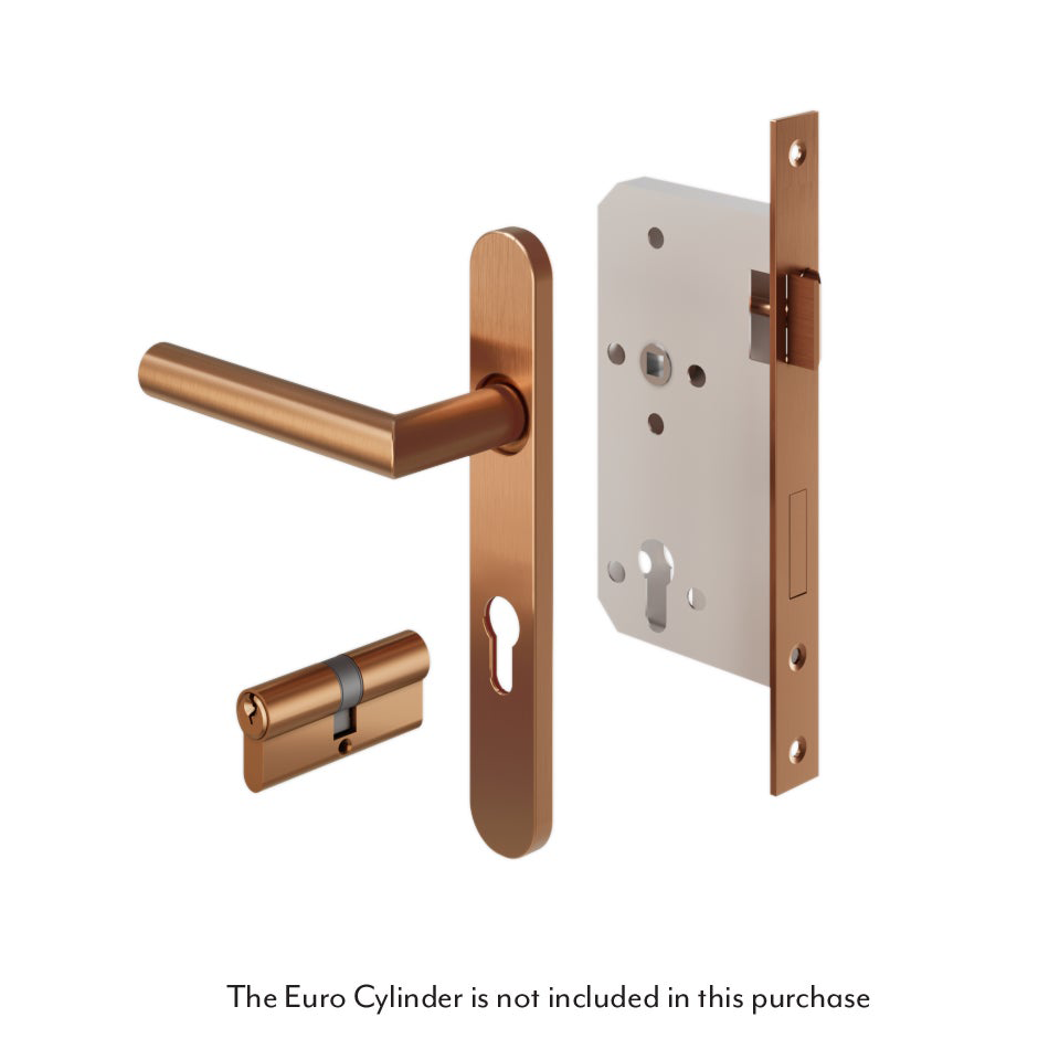 Davis Entry Door Handle   Lock Sets Stock Images Disclaimer Key to Key BC