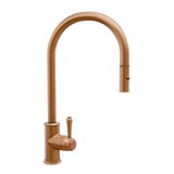 Kingsley Commercial Pull-Out Spray Attachment StockRender BC