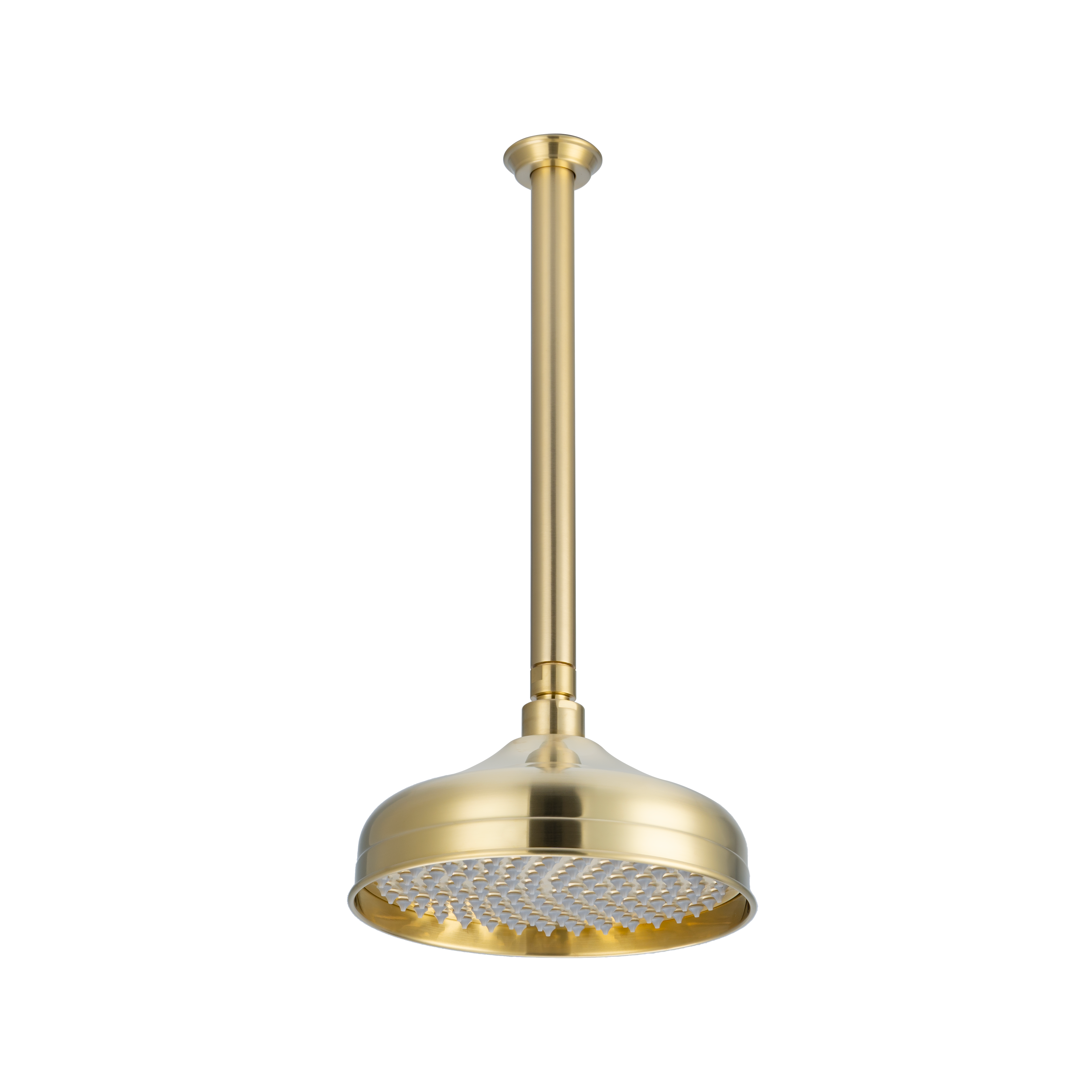 18087-Kingsley%20Shower%20Dropper%20300mm%20and%20Head%20Set Side Brushed%20Brass